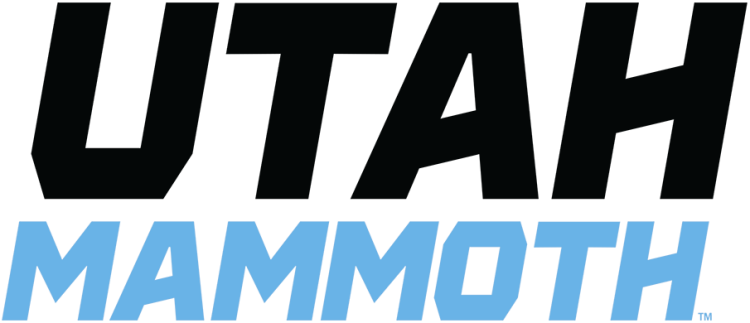 Utah Mammoth 2025-Pres Wordmark Logo t shirts iron on transfers